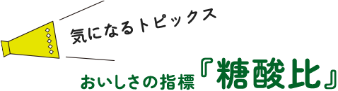 気になるトピックス おいしさの指標『糖酸比』